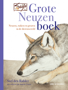 Voorpagina cover boek